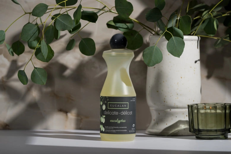 Eucalan Eucaliptus 500ml