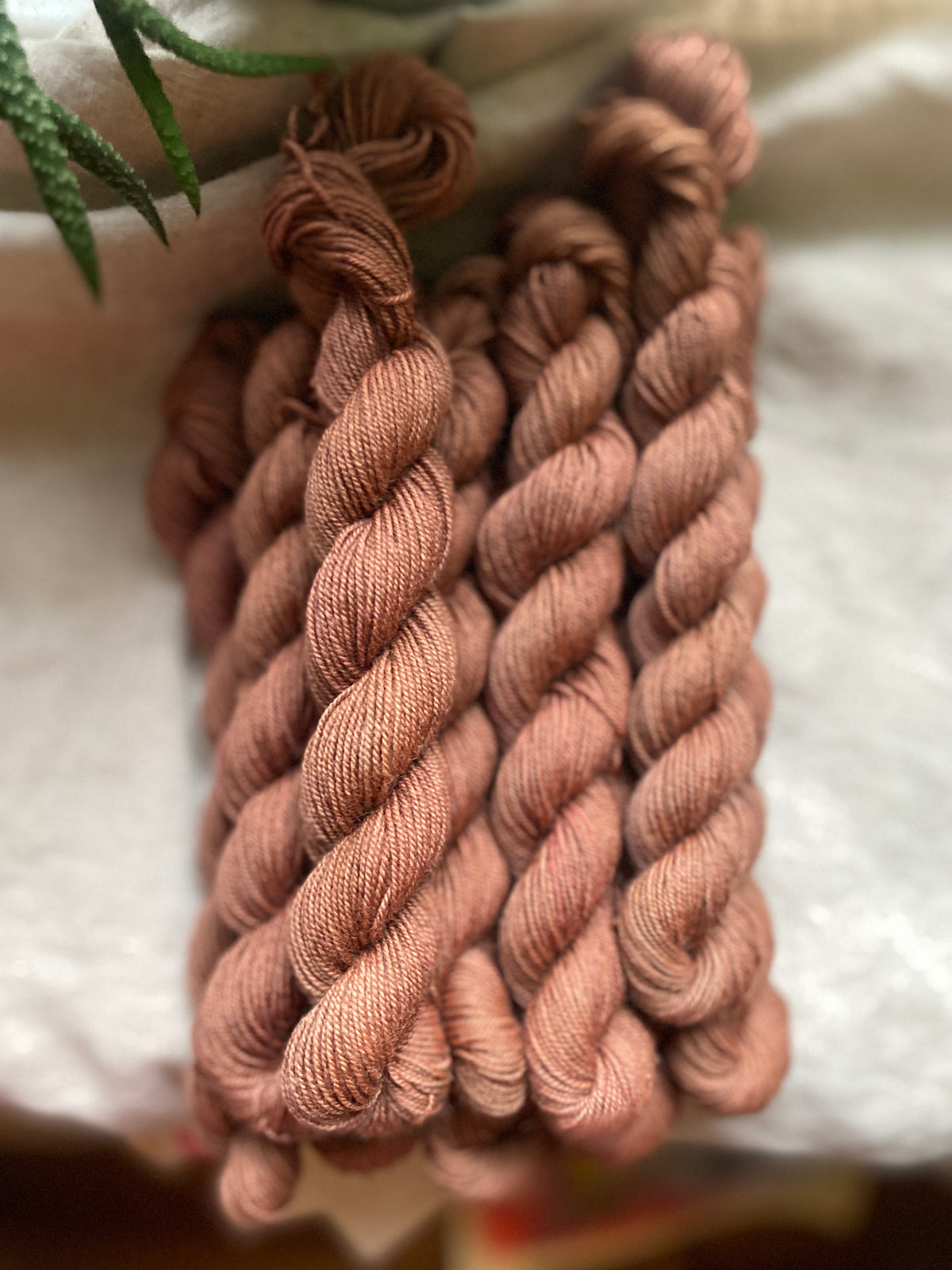 Dusty Rose