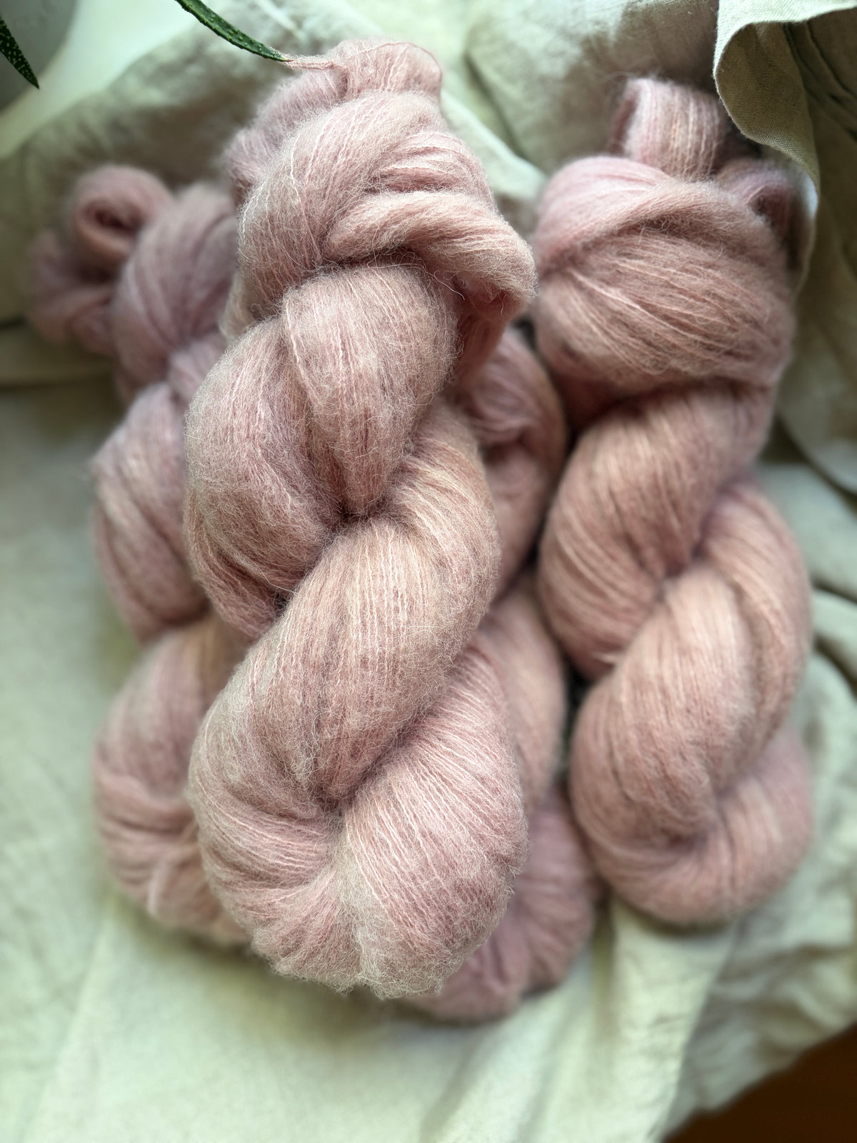 Cashmere Lace