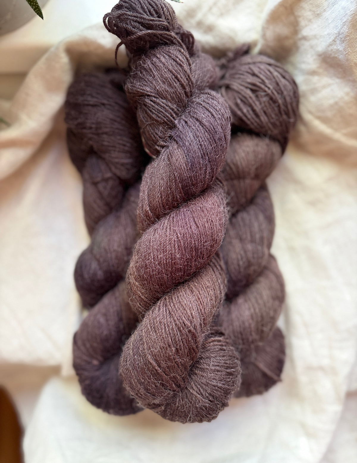 Alpaca Sock