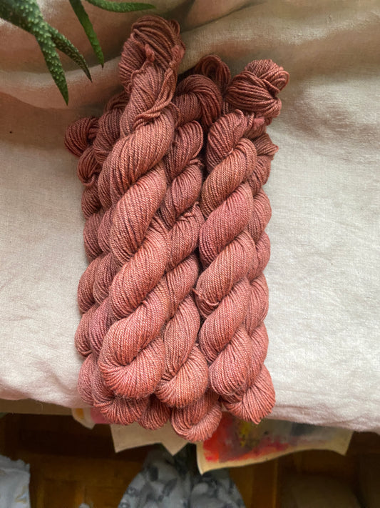 Autumn Sorbet