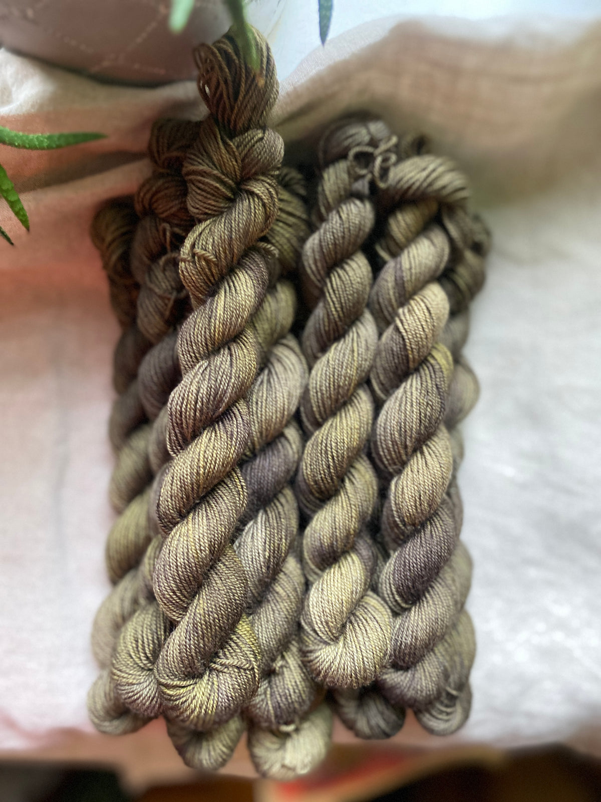 Olive