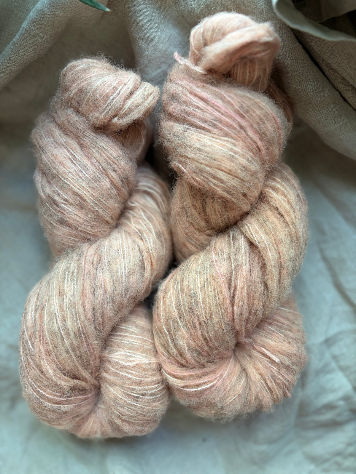 Alpaca Light