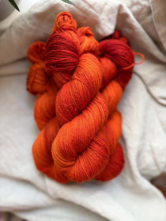 Merino Camel