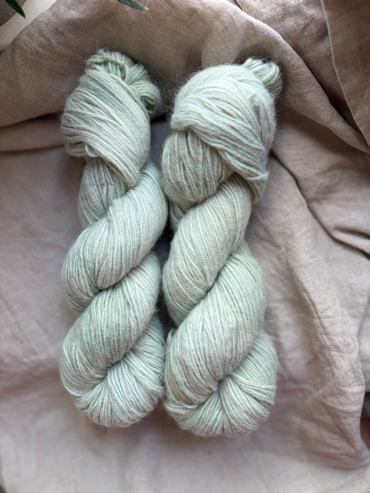 Alpaca DK